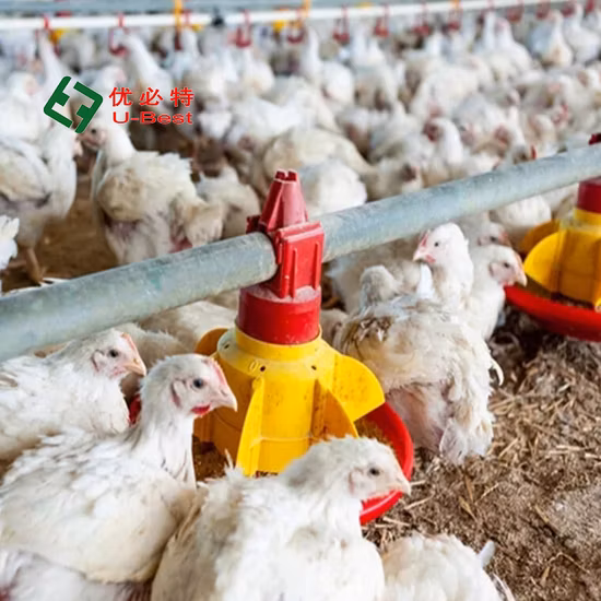 Poultry Feeding/Drinking System Breeding Equipment for Farm Breeding Plant Ground Floor Raising for Chicken/Goose/Duck/Pig/Sheep with Lighting System