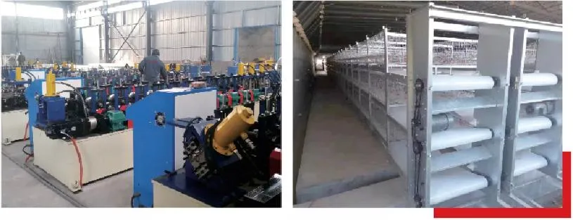 Poultry Feeding/Drinking System Breeding Equipment for Farm Breeding Plant Ground Floor Raising for Chicken/Goose/Duck/Pig/Sheep with Lighting System