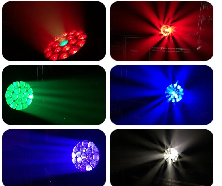 19X15W Zoom RGBW Wash Effect Bee Eye LED Moving Head Beam Light for DJ Disco