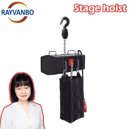 250kg 500kg 1000kg 2000kg Lifting Electrical Stage Hoist Equipment Intelligent Stage Electric Chain Hoist